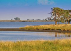 természetvédelmi terület